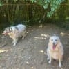 KIKI et BOUBA