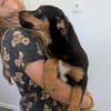 Sonnenschein sucht Zuhause