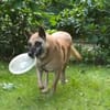 RUBY in 91616 Neusitz sucht