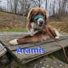 Vermittlungshilfe Aramis; 88239 Amtzell