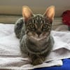 Dina u. Daisy suchen liebevolles Zuhause