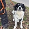 Hermes - Wirbelwind sucht Landeplatz