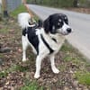 Hermes - Wirbelwind sucht Landeplatz