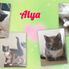 ALYA