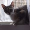 Mélodie