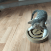 Berlioz