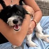 MILOU