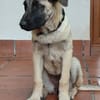 GALTA