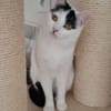 Indira, unsere scheue Schönheit