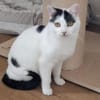 Indira, unsere scheue Schönheit