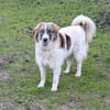 Ozora sucht schon so lange