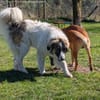 Ozora sucht schon so lange