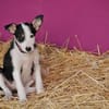 Starten Sie mit Lourdes ins Leben???