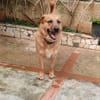 Elix