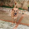 Elix