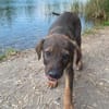 Zauberhafter kleiner Racker sucht Familienglück!