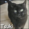 Tsuki