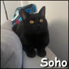 Soho