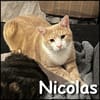 Nicolas