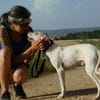 PUCK, petit chien de 9 kg