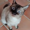 HERCO