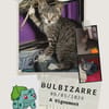 Bulbizarre