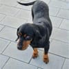 Carla sucht ihre Herzensmenschen ❤