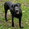 OTTO 2 sucht seine Menschen