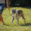 Flori - ist unsicher