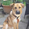 Die Zauberhaft tolle Bianca liebt Kinder