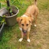 Die Zauberhaft tolle Bianca liebt Kinder