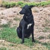 💙Dario💙 sucht seine Familie