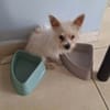 Molly, je suis joyeuse et tendre