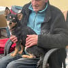 DADKA, Mix, geb. 07/2025