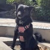 MAJA, Mix, geb. 07/2019