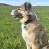Lola - ist dynamisch&aufgeweckt