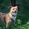 Prince sucht seine Prinzessin