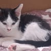 BOUNTY A trouvé sa famille
