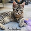 BABYLON