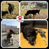 NOTFALL Coffee sucht zuhause