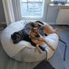 MINK * agiler Typ mit Charakter