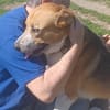 Buddy  sucht Happy-Home