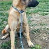 Heidi sucht ein Plätzchen