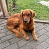 JinJin sucht großherzige Menschen