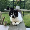 Knut - Fiverling sucht sein Happy End