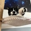 Knut - Fiverling sucht sein Happy End