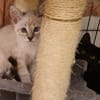 BOUNTY (en cours d'adoption)