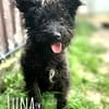Zarte, kleine Luna