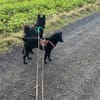 Freche Yuna sucht ihre Menschen