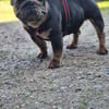 Zuhause gesucht